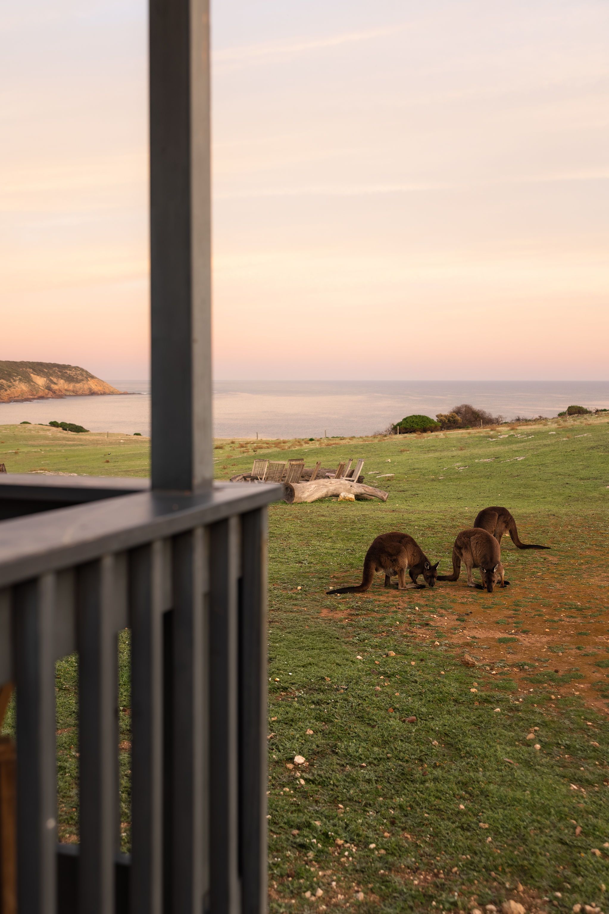 A wide golden-hour view across the sanctuary to Stokes Bay